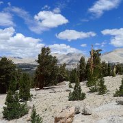 SouthernSierra 729 : SouthernSierra